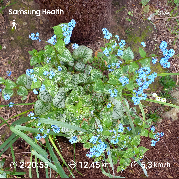 18ac6214-d756-48ee-a15e-366fb576ab32