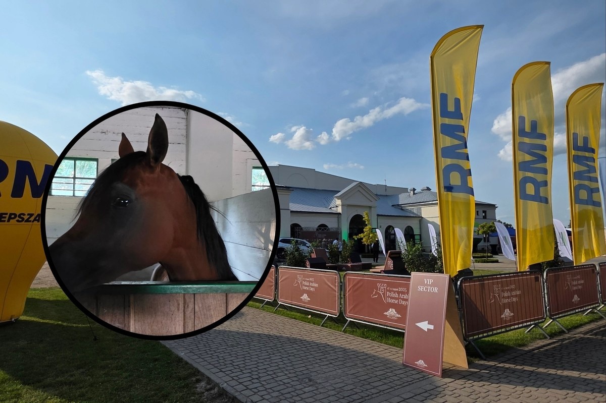 Janów Podlaski znów na ustach świata. 115 koni arabskich na pokazie