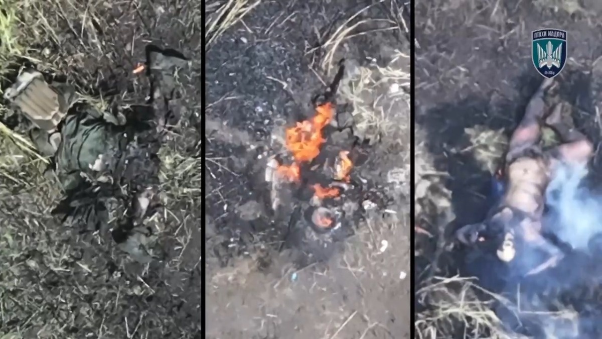 4866633b-a9c4-4d8c-abc6-13d0f7188d42