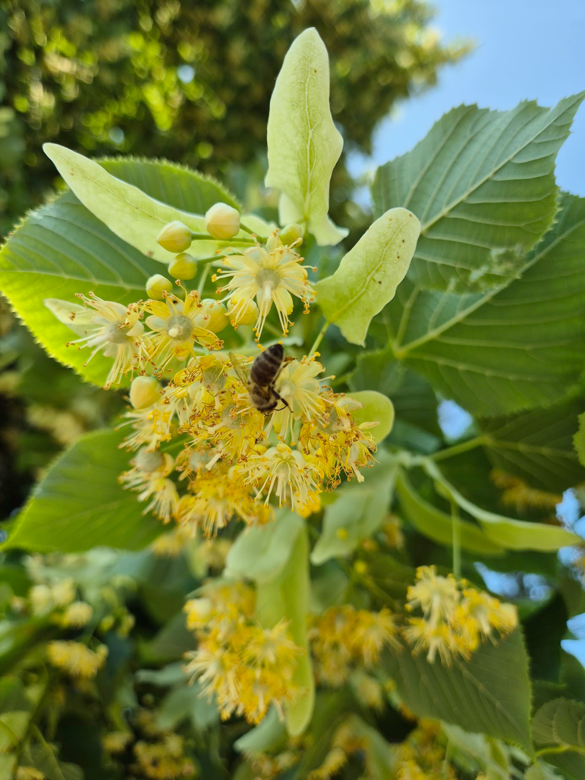 15070c1c-1cf8-415a-9d77-c12b32f6fe51