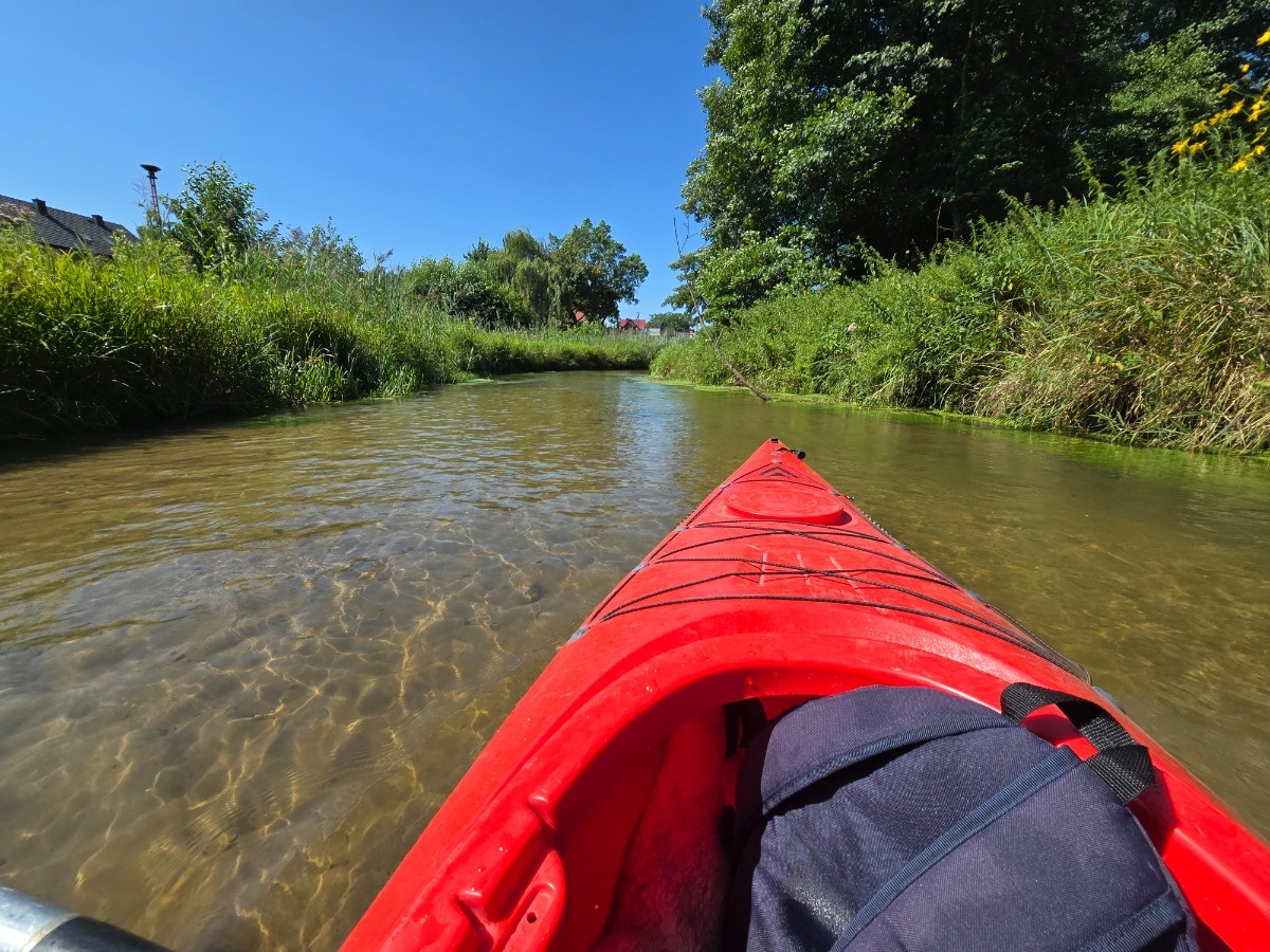 fbb6dc9e-4ce0-4398-92e8-3a960b3f5254