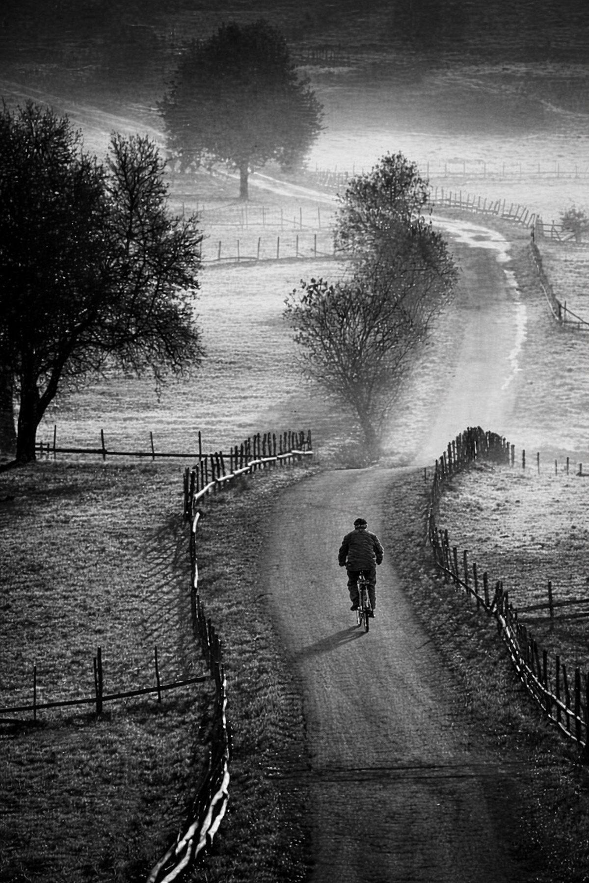 dbcd61e1-5ddf-435b-b454-b5285ccff727