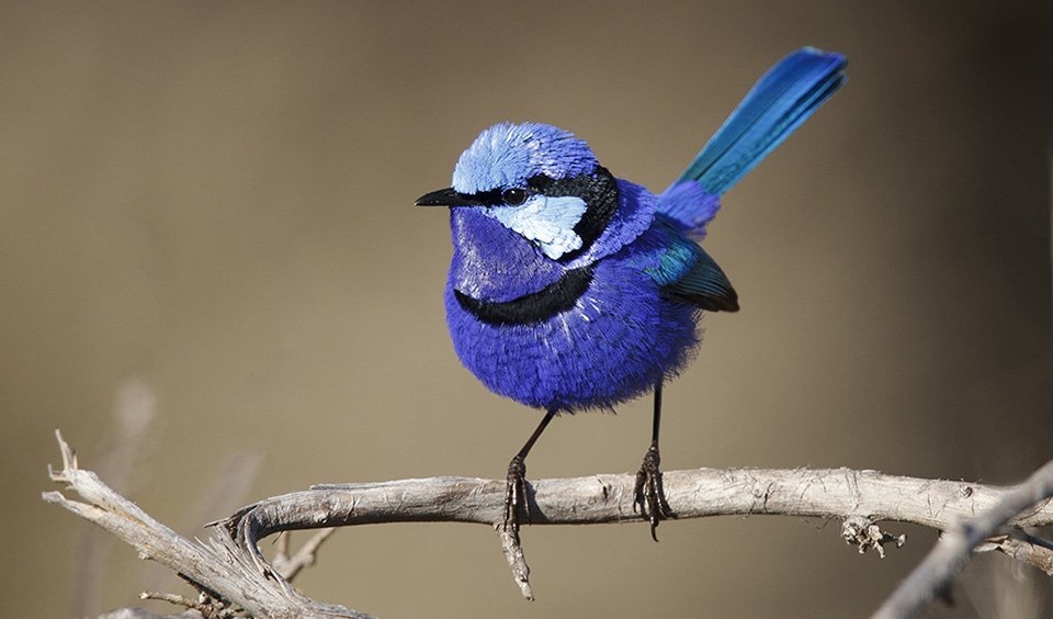 5fd6f060-0726-4b5c-b50c-34999cc1be76