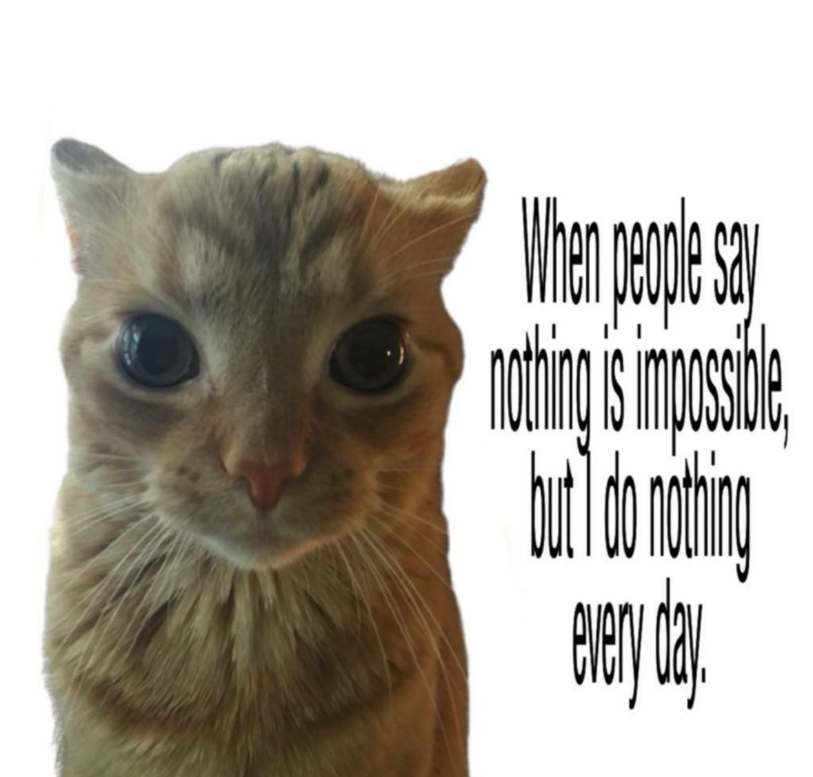 00e65642-f9e3-4e59-a93d-abe32cd7f1bd