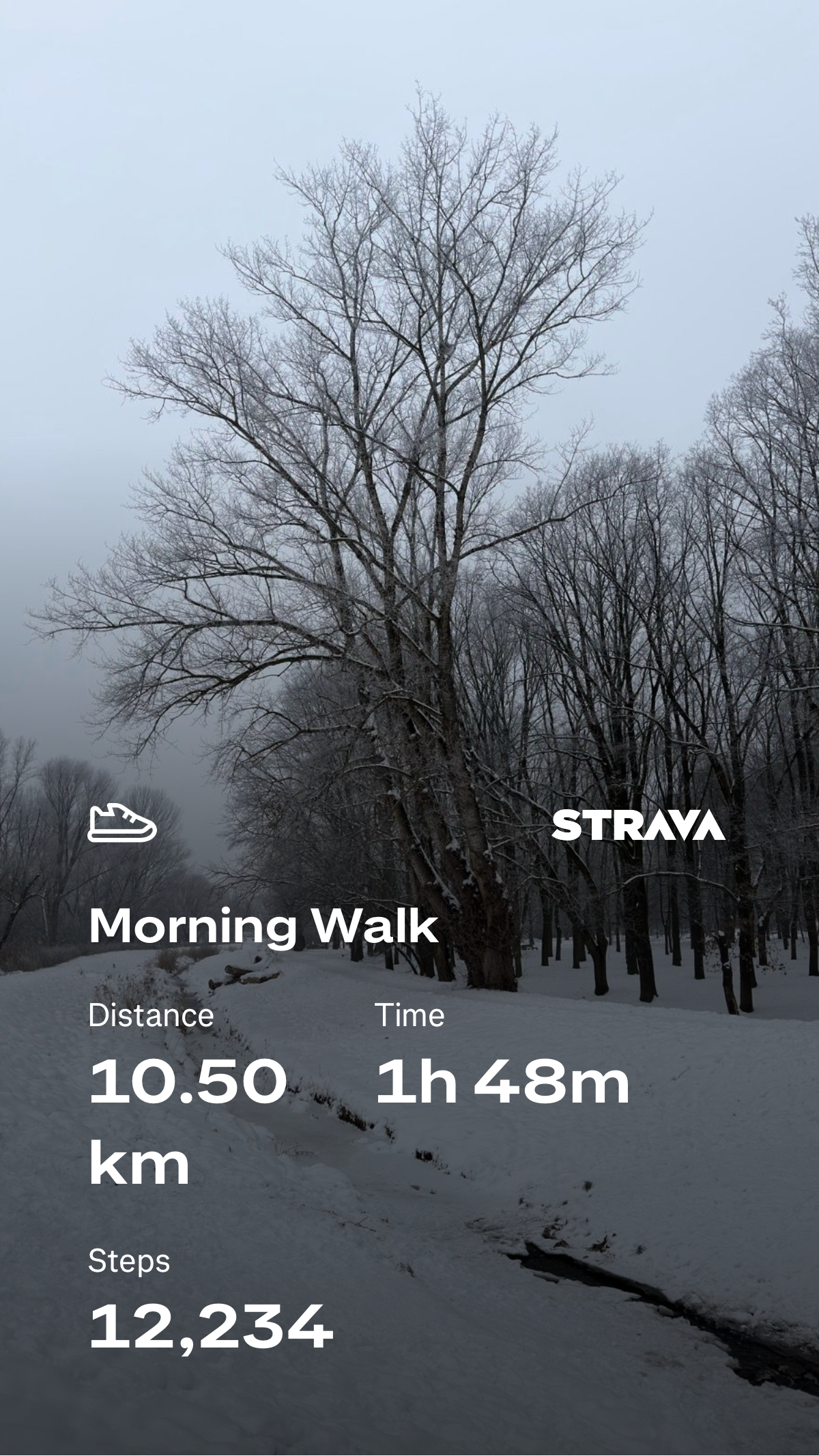 d6c27cb2-0917-4deb-9923-aee9c2fe14a2