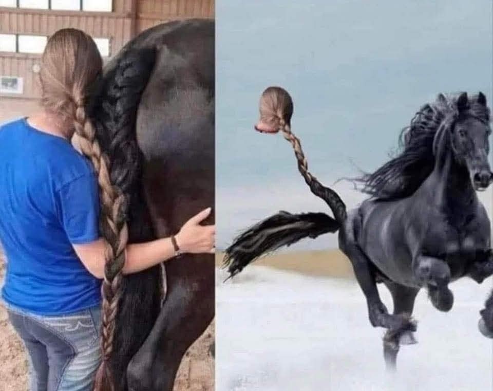 4b19938b-38eb-445f-84ab-5f4eda392d31