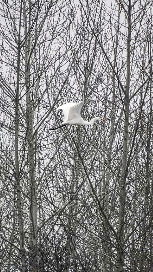 2960aee8-36e4-4b6c-940e-31c3342b0a2a