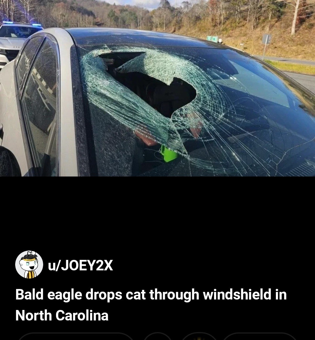 c331e0a8-ac42-4876-9261-f2d79d5ccb58