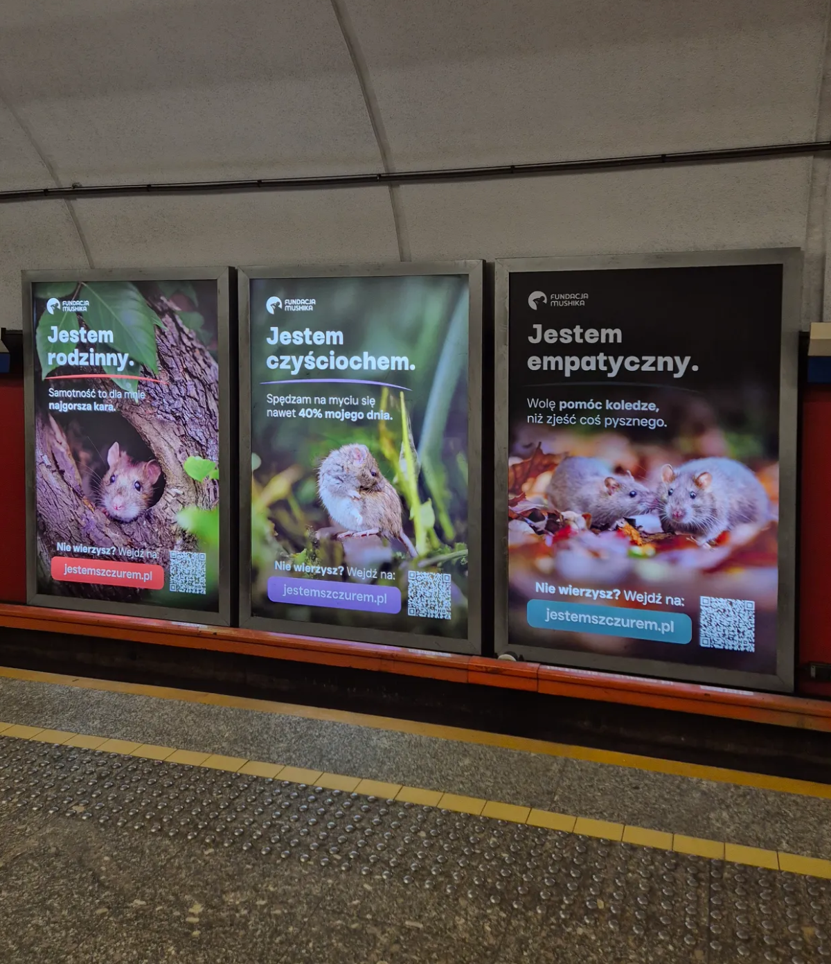 548281a9-0132-45db-8f77-a7d553c7548e