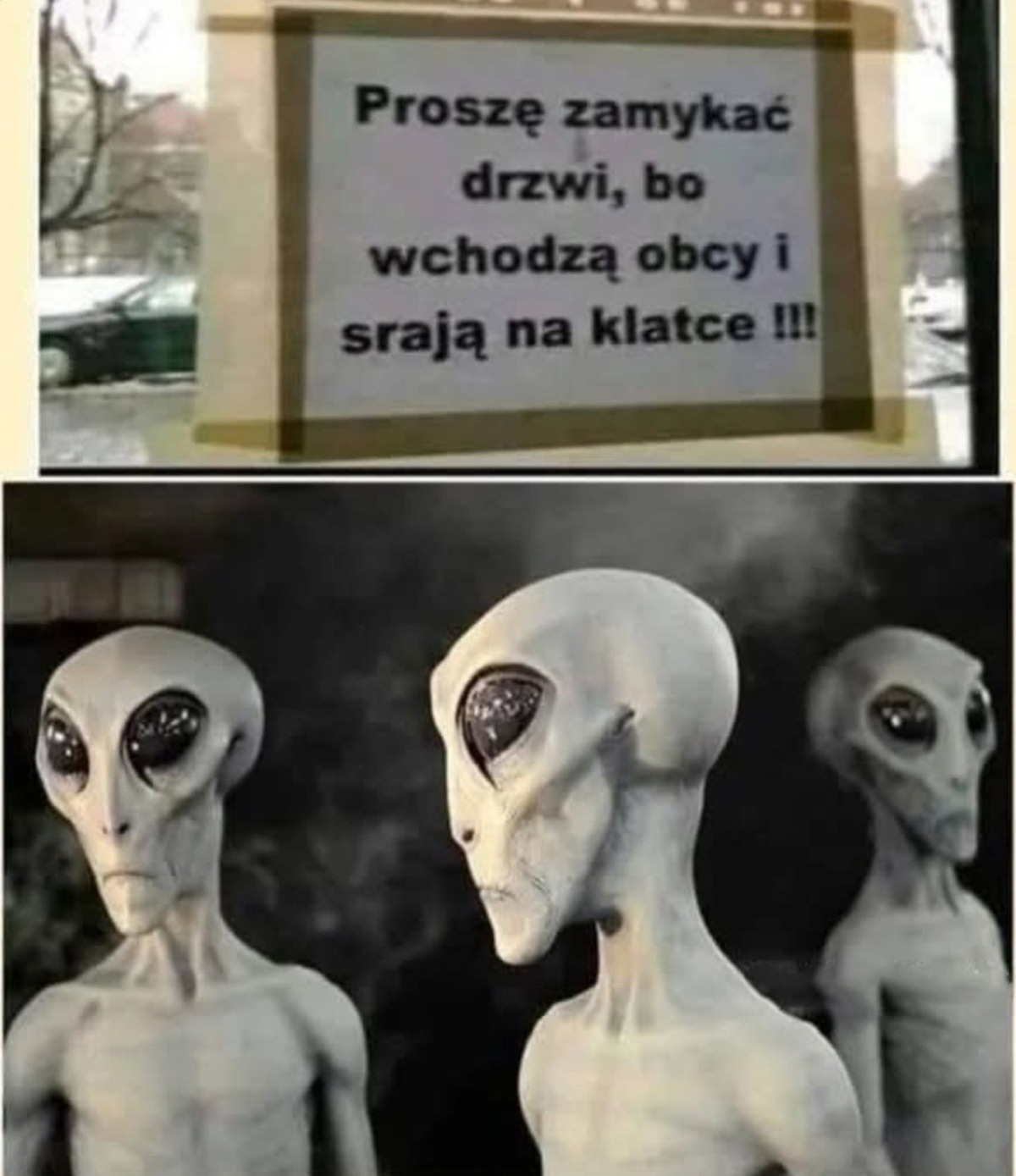 5619e155-6a9f-453a-8917-7dc094a6e89f