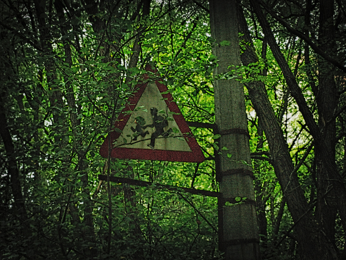 _Y068188 (Large).jpg