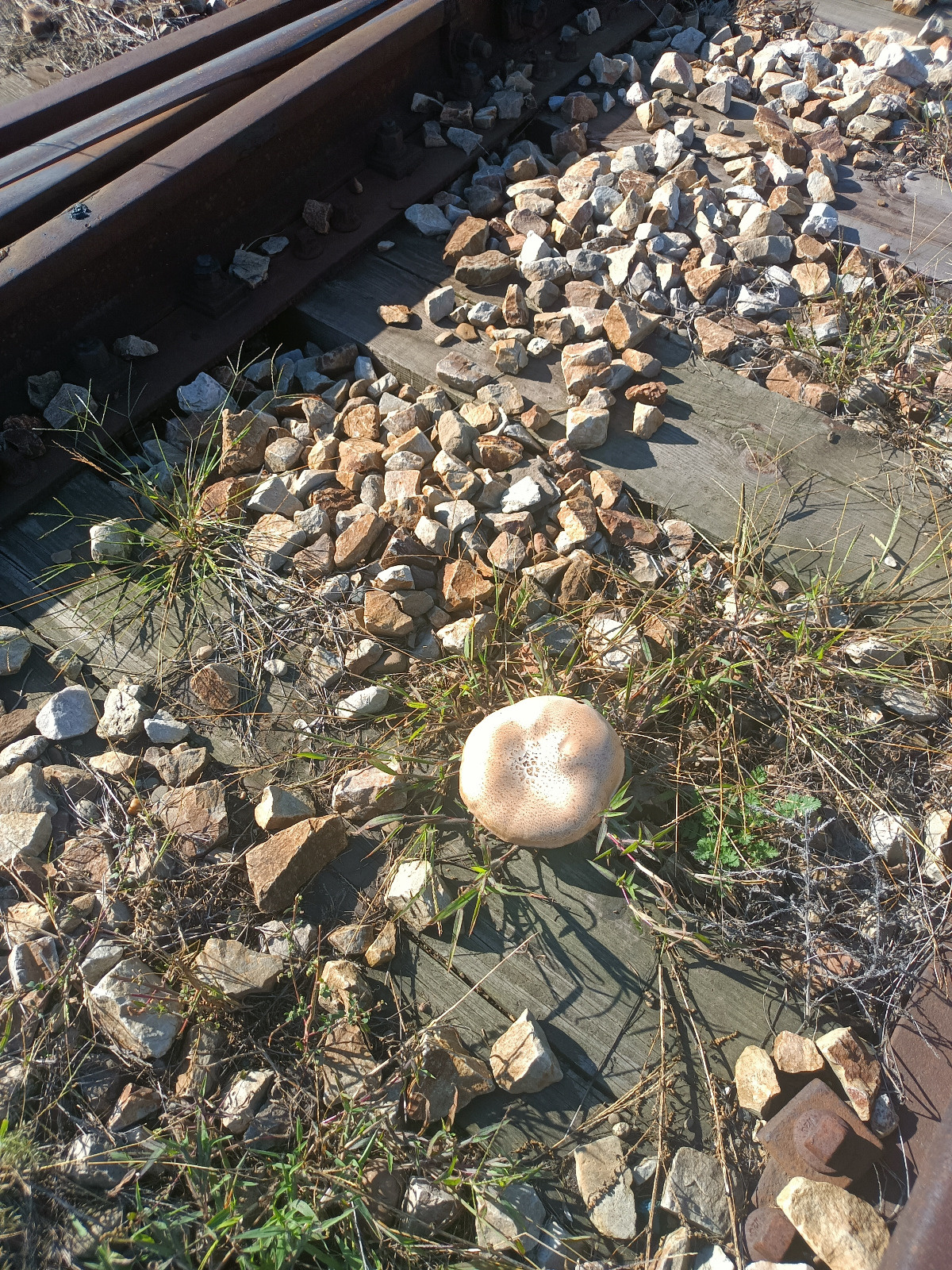 f76add90-1527-44a3-bd08-a5a05cd8923c