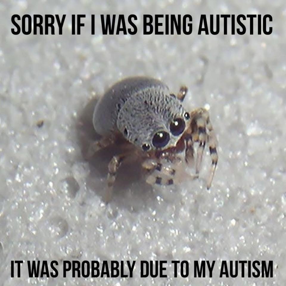 46699618-e821-47a6-aae6-45fe54f23cac