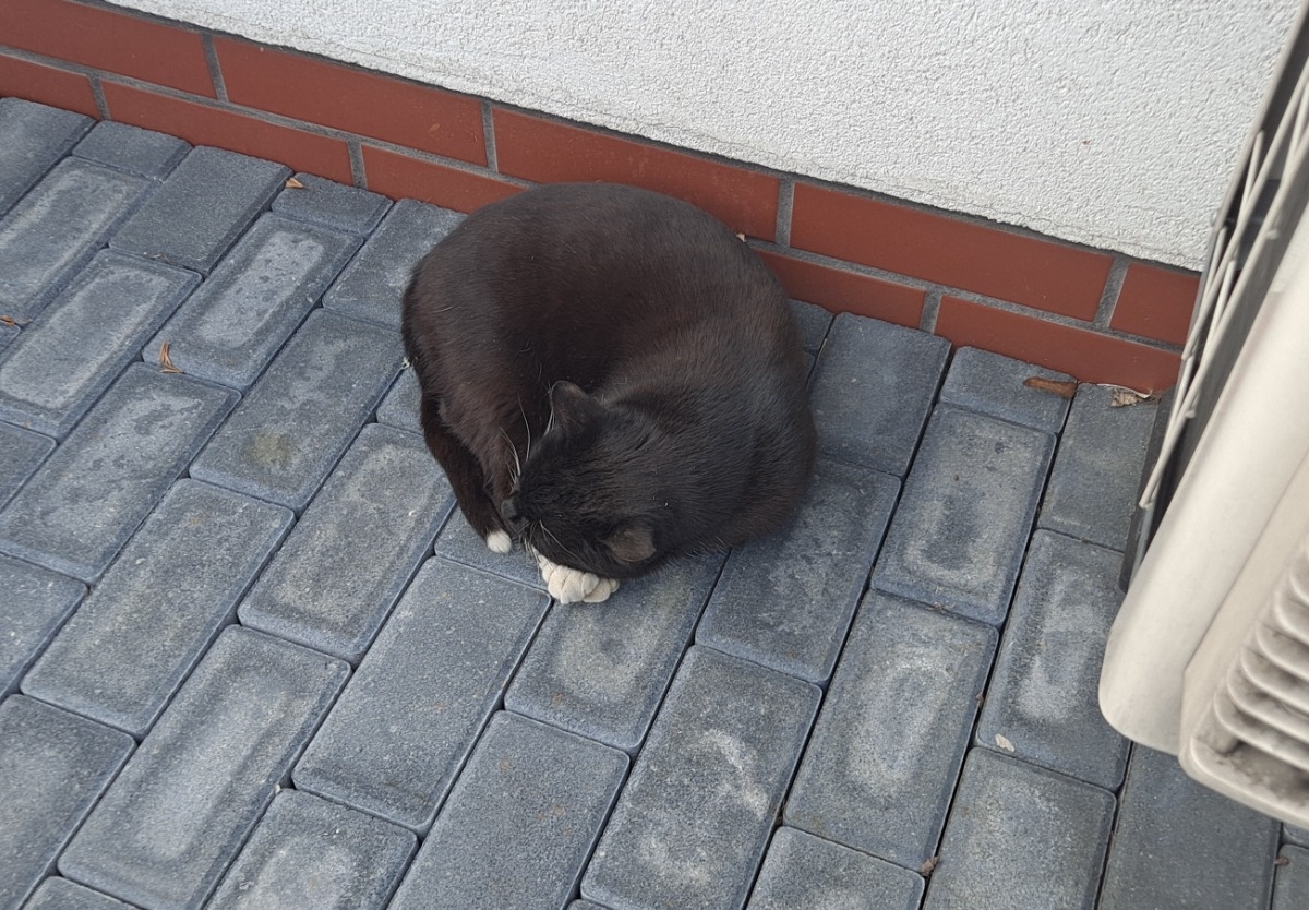 467bc4cd-e428-4cc9-a958-548b9a4263c9