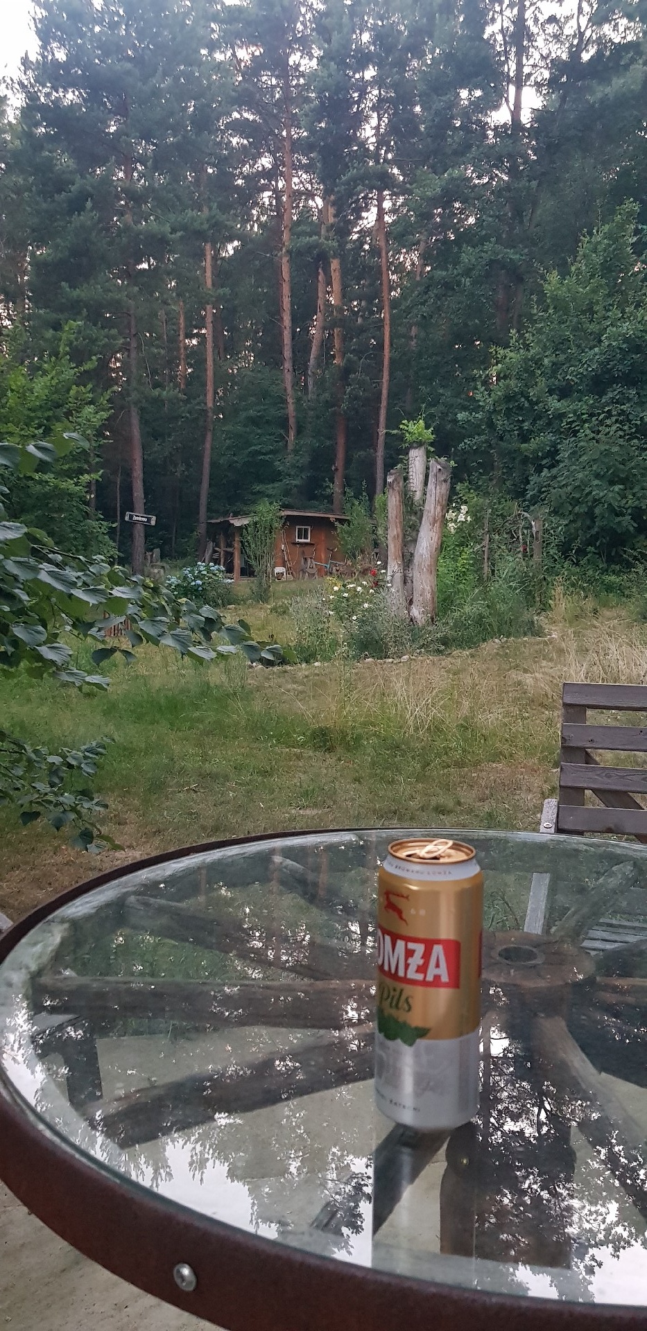 fd4a29d2-50b4-4a36-9662-406ac7592034