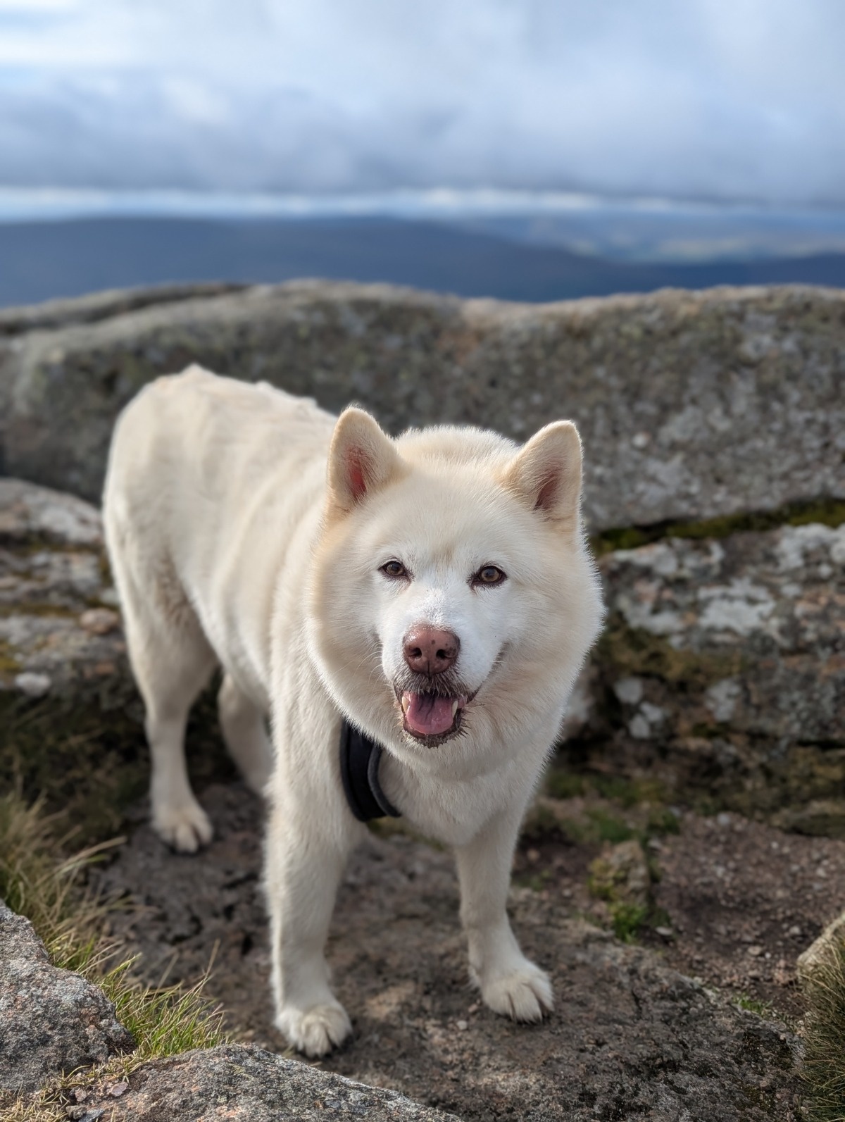 baed6733-6b81-4244-ae3a-3c7c88c55fd3