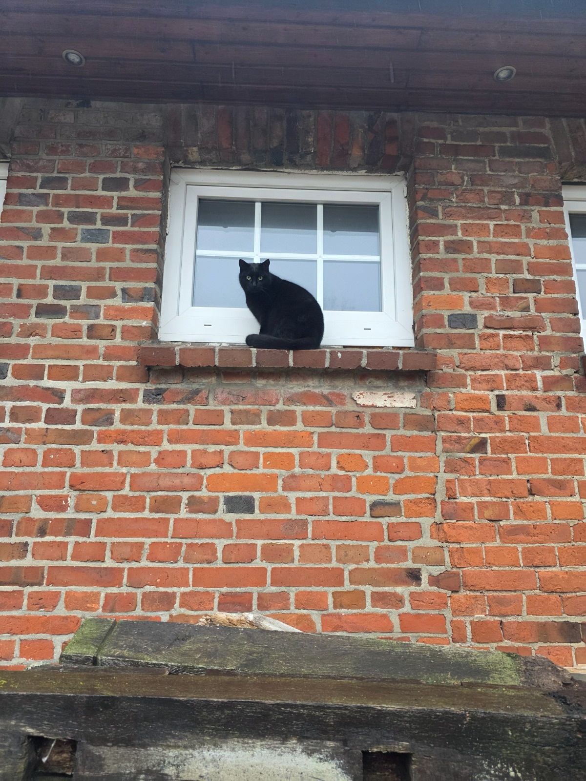 56dd71ad-1658-48e8-a9c7-7d7e2d175666