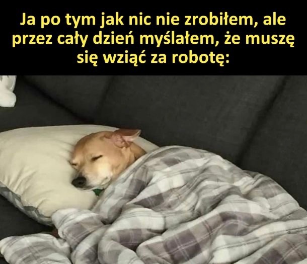 94605f72-460d-4ae5-b409-560a4c461cb4