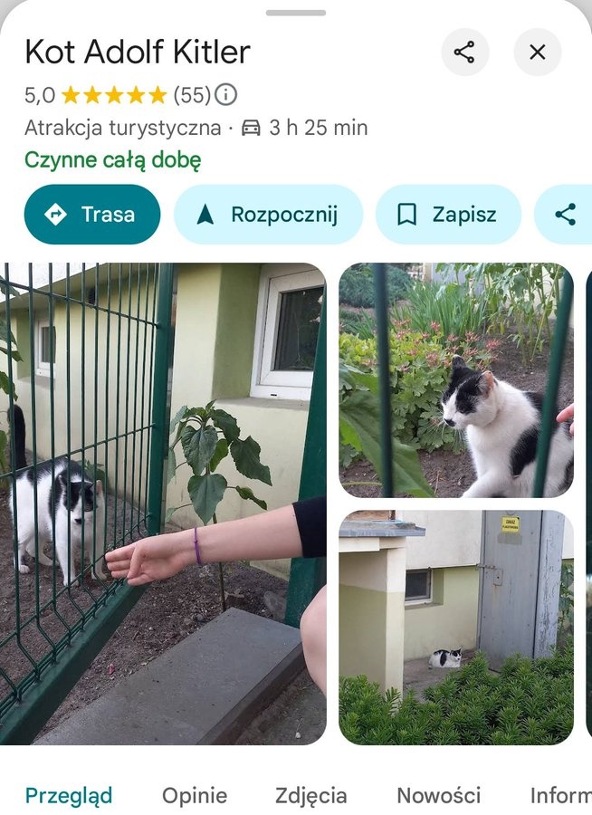 081d69d6-e783-4255-8757-94293defee5c