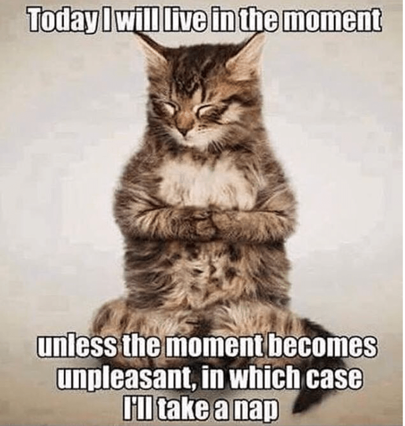 050caf51-181f-4dcd-9adf-697a5c25fcaf