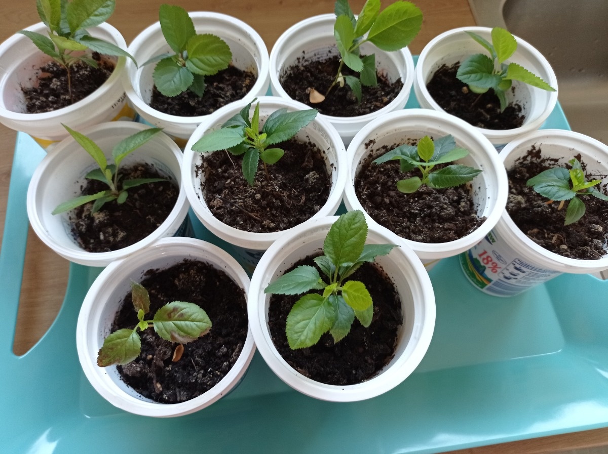 c540631b-c7b1-40f9-9e87-c9820f8ab38f