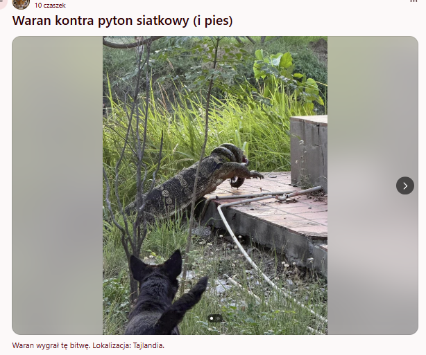 83830093-d480-4200-9f7a-5d45f919235f