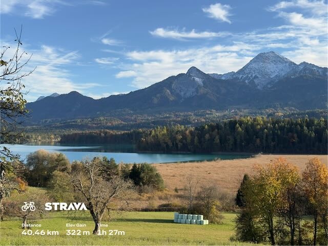 ccc83ea8-9c36-4a5a-839d-118e0c25d3b6