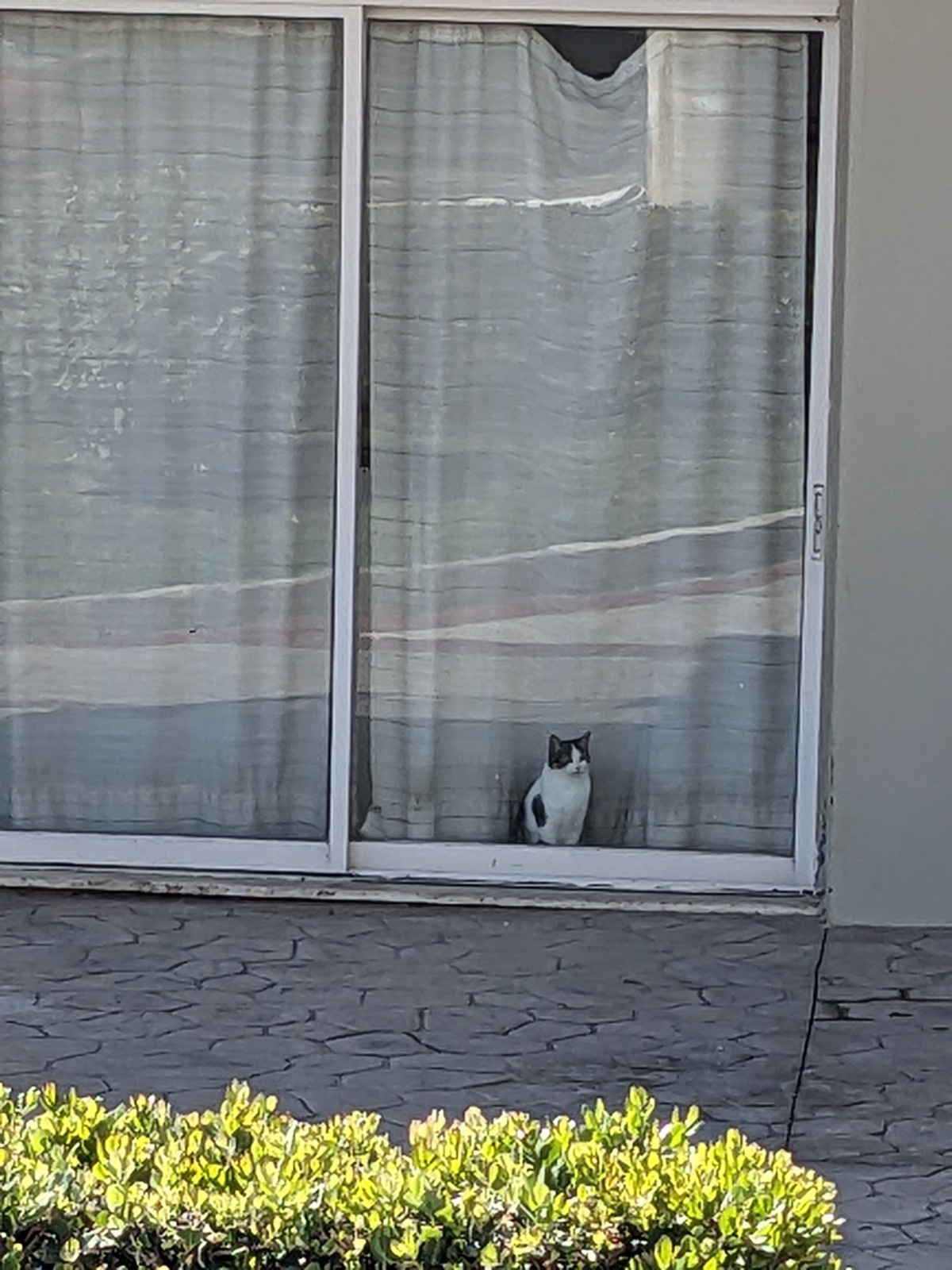 0f875555-f75c-4f97-8655-bce6f8bc06fb