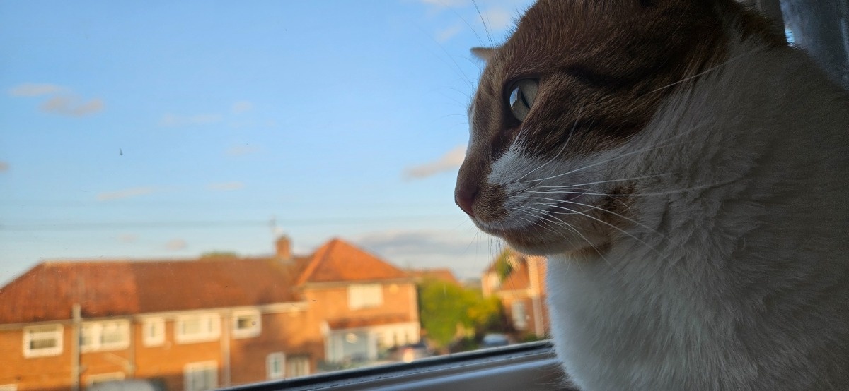 e30f0d2c-6c28-42ed-bbf1-be0e38d1acad