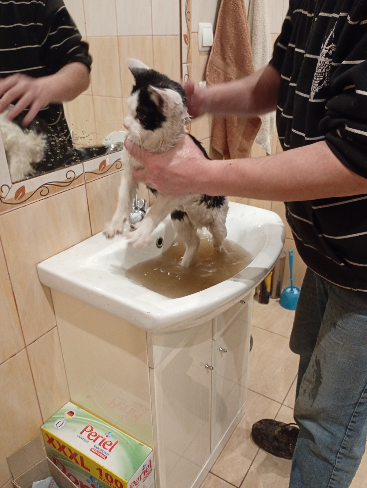 2a9c27b6-eb23-45fd-8069-9907e2ade4c3