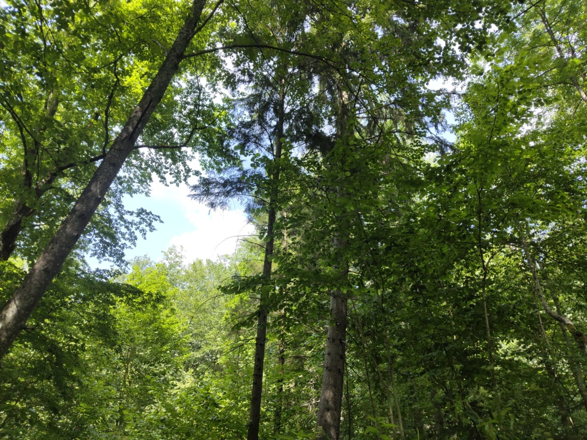 c8cf45e4-f643-4a27-8a34-84792eb6800e