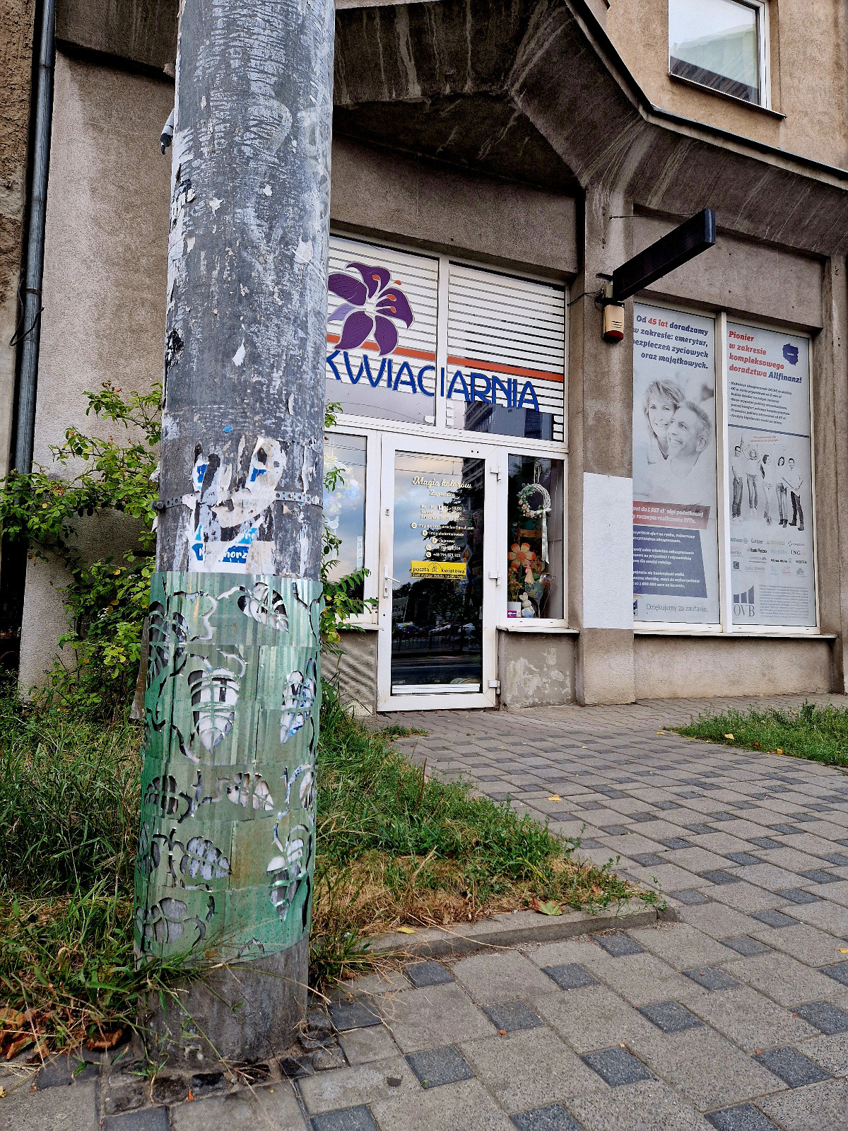 6f9e56d0-bc4d-42e0-b0cc-adf63f751098