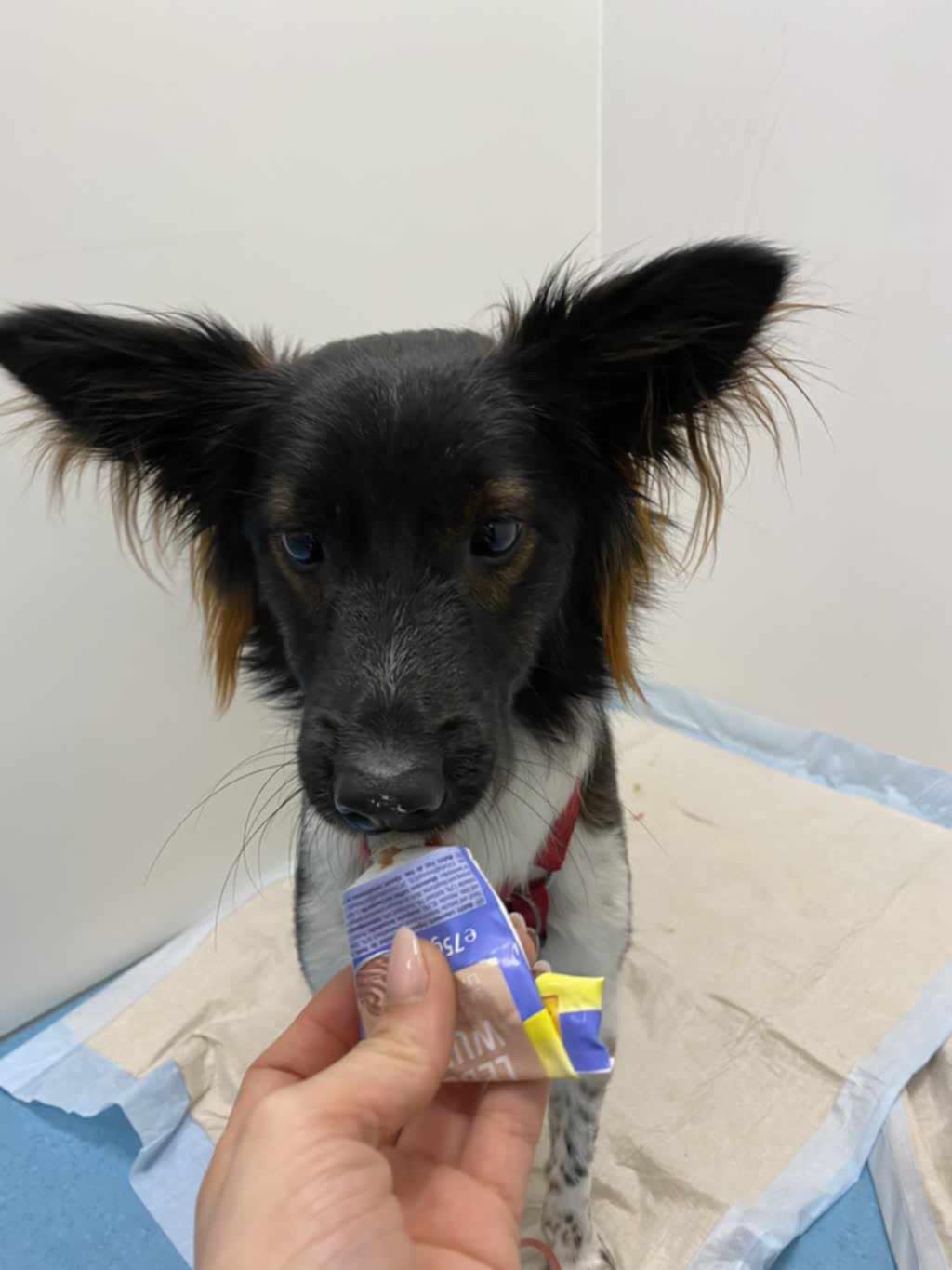 65ae84a2-f77b-472a-aff2-49ea3bf2fc0a