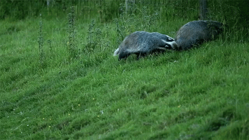 aa0db85e-ae74-4175-bac3-3f92c2e6c340