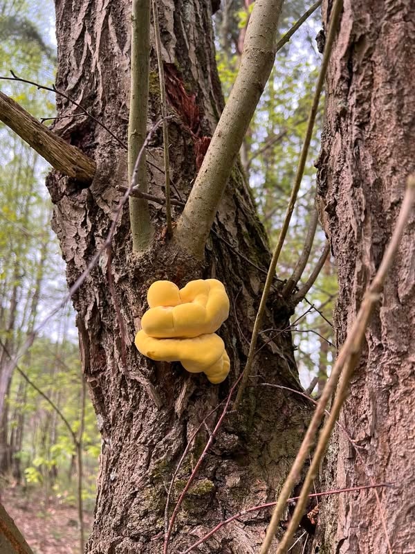 546eac63-2941-4902-8258-e76229031e7a