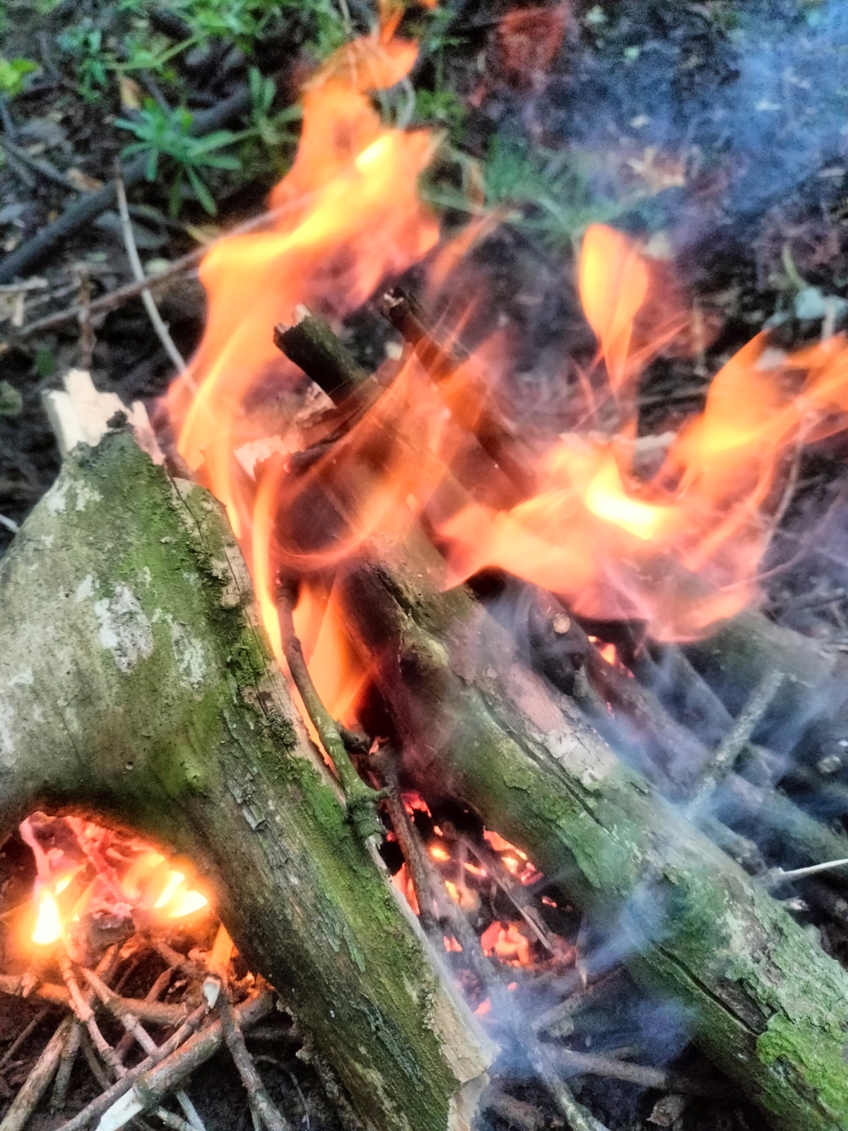 cca2673e-bdfd-4ef1-b580-d70f3e9c19bd