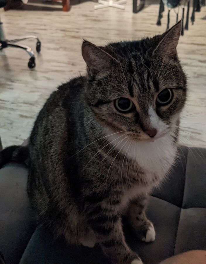 bc7ca1cd-5089-4653-b198-713933116fda