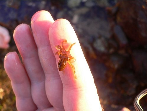 2c266eab-342a-4cf2-9318-4086a1f15cec