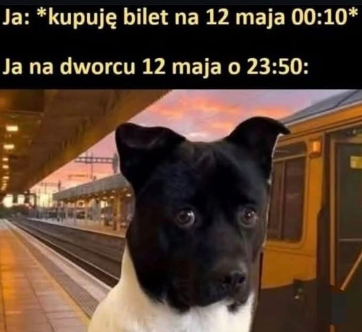 b825de9a-8346-42bd-8a83-406de433b8c8