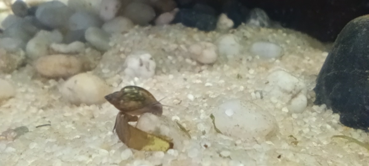 a5fd69b3-f9d6-4b49-88dd-418889a71d4b