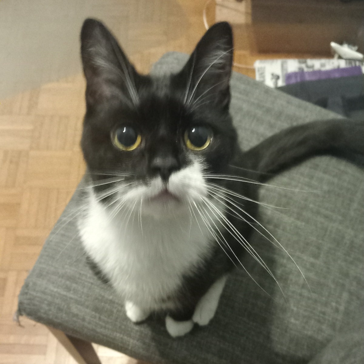 cb422c73-9a2a-49b2-9301-0332eee192a5