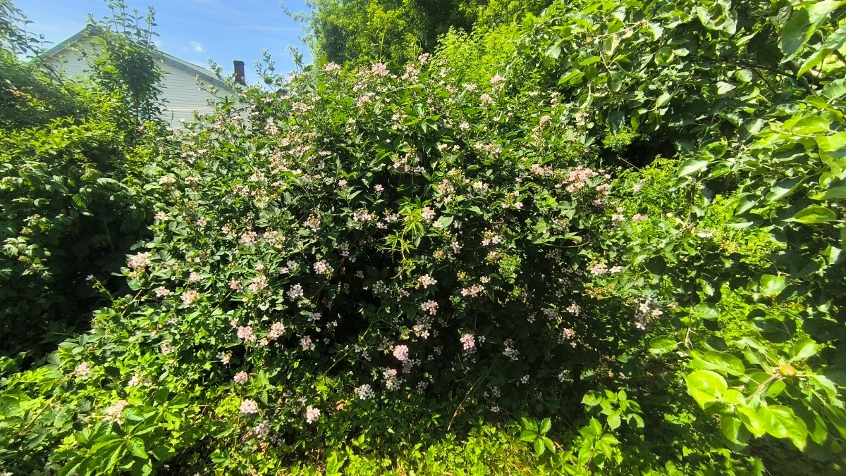 827a939c-a4ac-4dc8-9e1d-60742c960af9