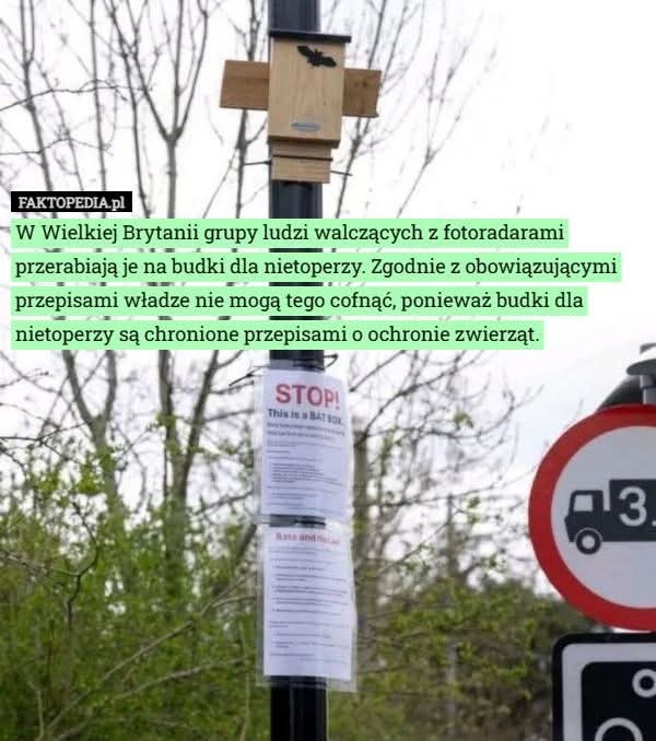 698e53b9-4eec-4088-85c8-19467f1ad823