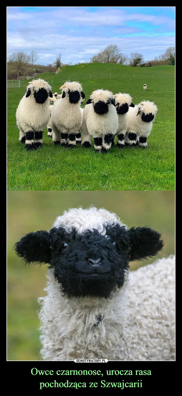 009fec8c-91ed-4b52-9ecf-c6ac60ac9f24