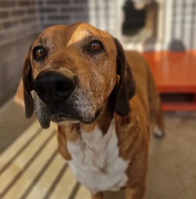 777578a5-9eba-440e-8c99-f32bf772f9da