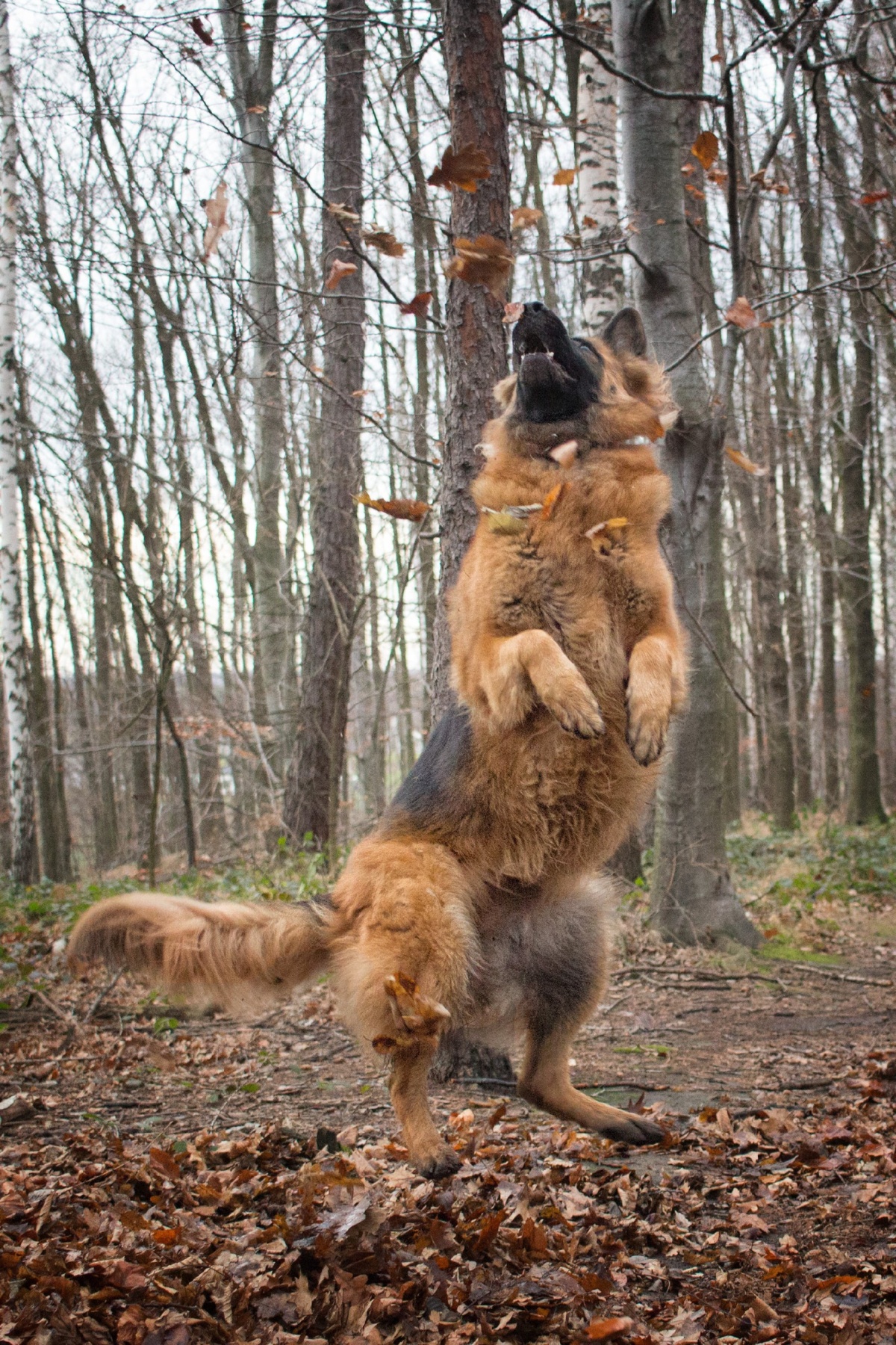 c701c377-16e5-43b3-8d81-62722592bb01