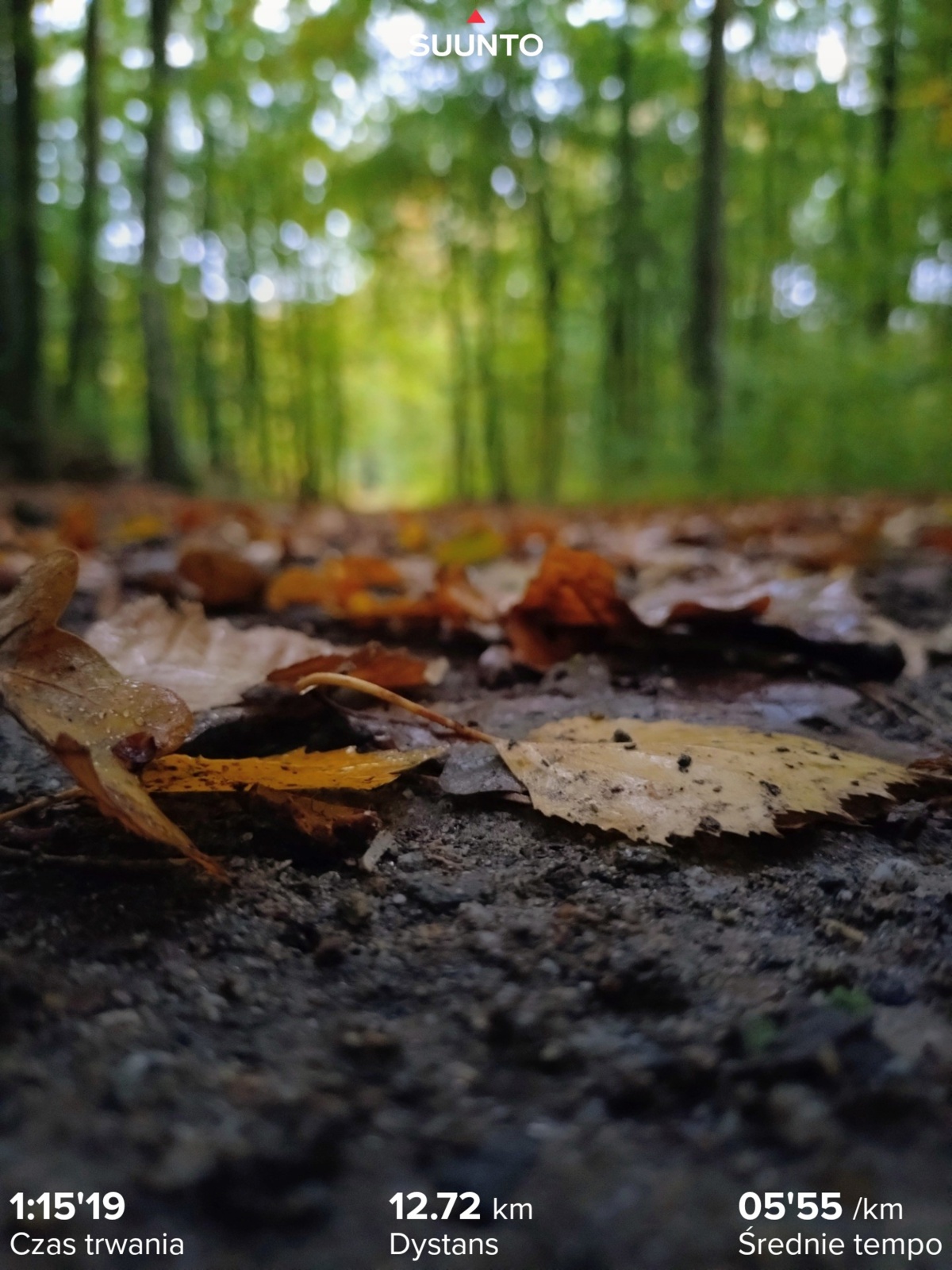 5ff33694-28a8-4da8-866e-f65cdd106c65