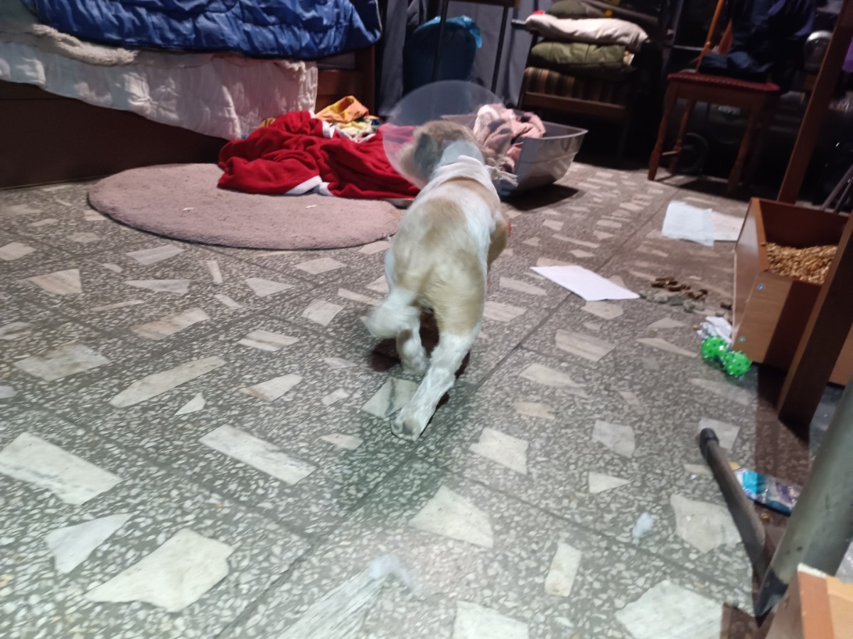 1312944a-db03-445d-90df-1326eb458d1a