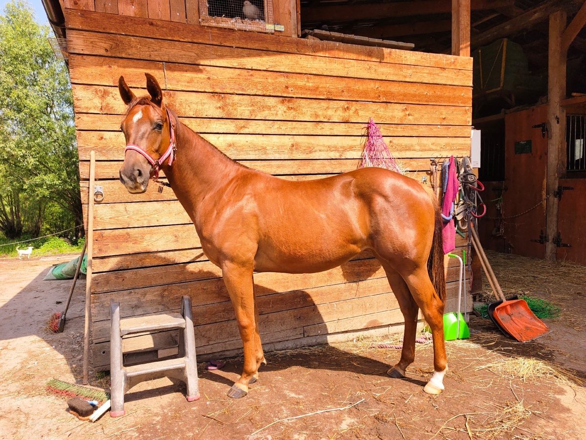 dc37ed5a-70fb-489a-8540-fdc6b3b4c535