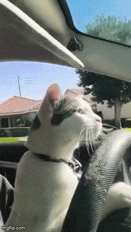 7c1fff2f-a765-4976-9319-4daa6e49a86c